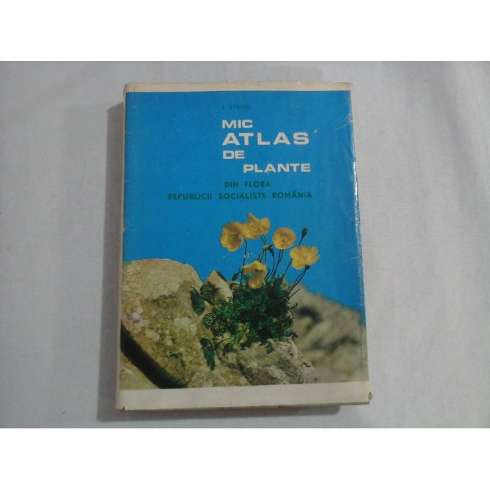 MIC  ATLAS  DE  PLANTE  DIN  FLORA  RSR (175 planse color) -  I.  TODOR 
